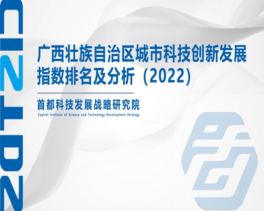 骚妇视频导航【成果发布】广西壮族自治区城市科技创新发展指数排名及分析（2022）